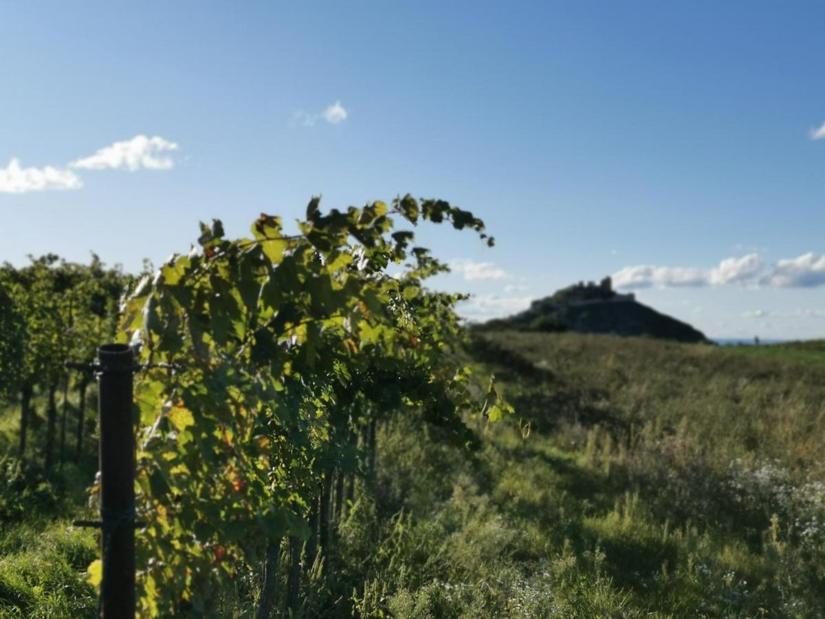 Gaestezimmer Rieder Staatz エクステリア 写真