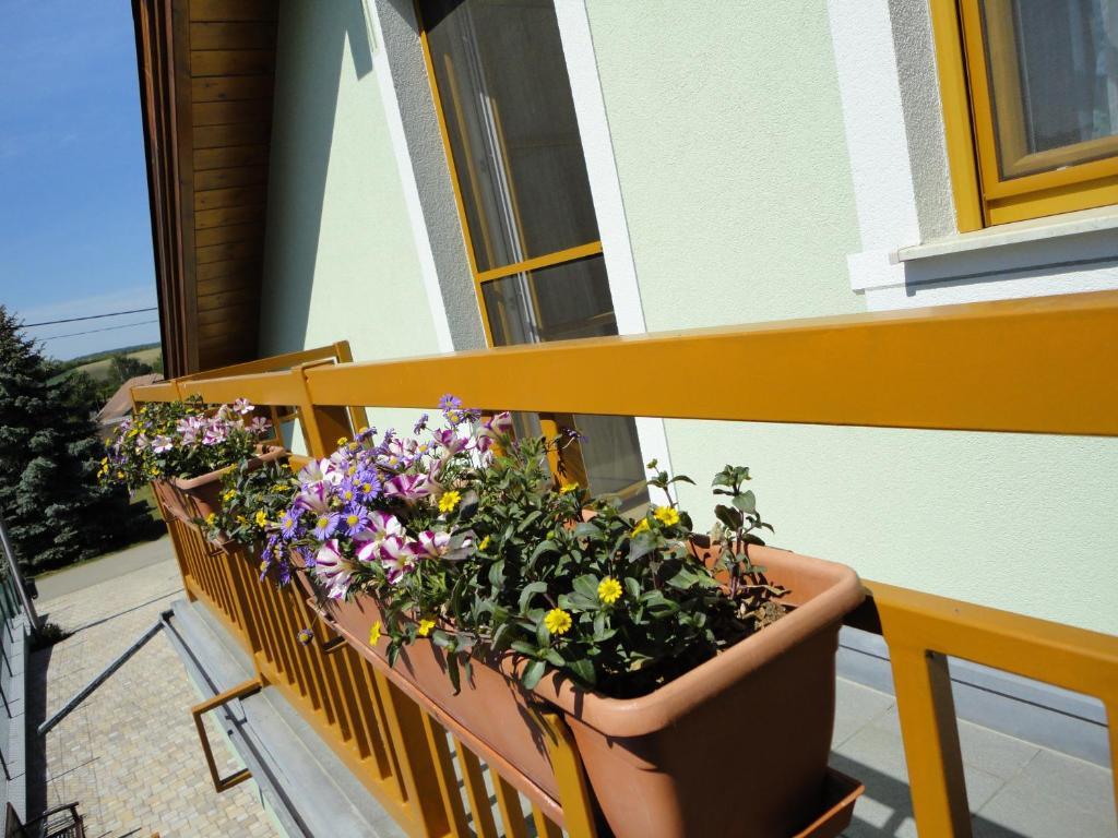 Gaestezimmer Rieder Staatz 部屋 写真