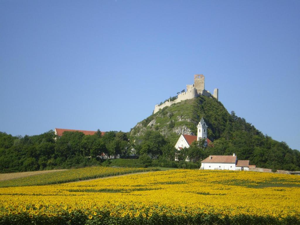Gaestezimmer Rieder Staatz エクステリア 写真